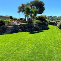 entreprise d'élagage pas chère pour couper des branches cannes alpes maritimes 06